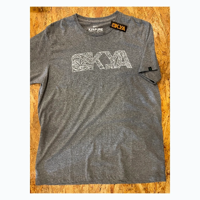 REMERA KAYA GRIS