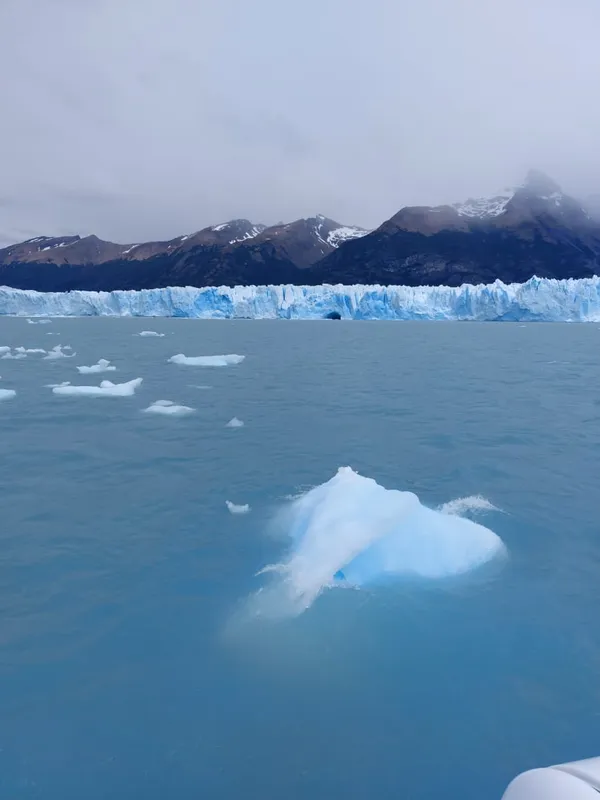 EL CALAFATE - INVIERNO - OPORTUNIDAD