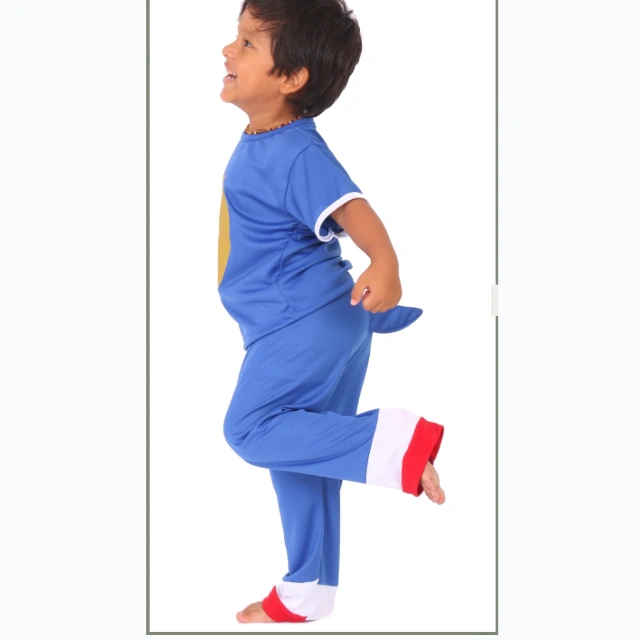 Disfraz Sonic