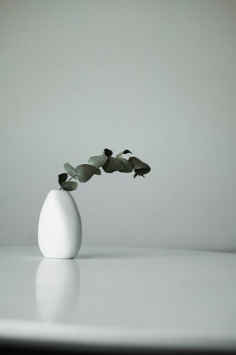 Florero de cerámica blanca con una rama de eucalipto