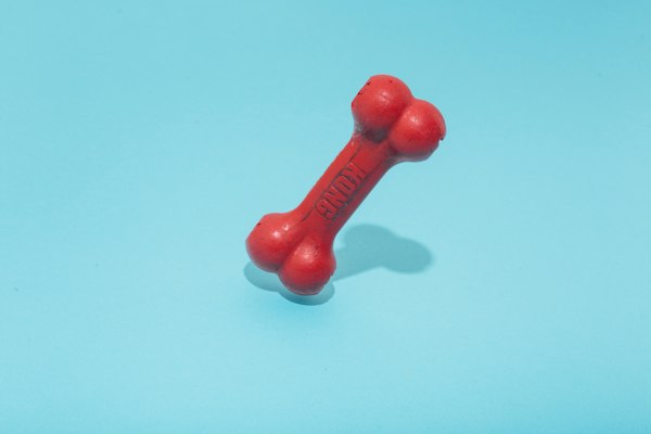 Hueso de goma rojo para perro sobre fondo celeste