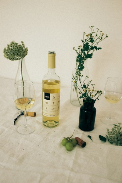 Botella de vino blanco y copas servidas entre ramas verdes
