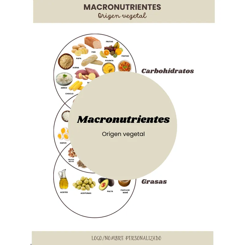 Infografía macronutrientes (origen vegetal)
