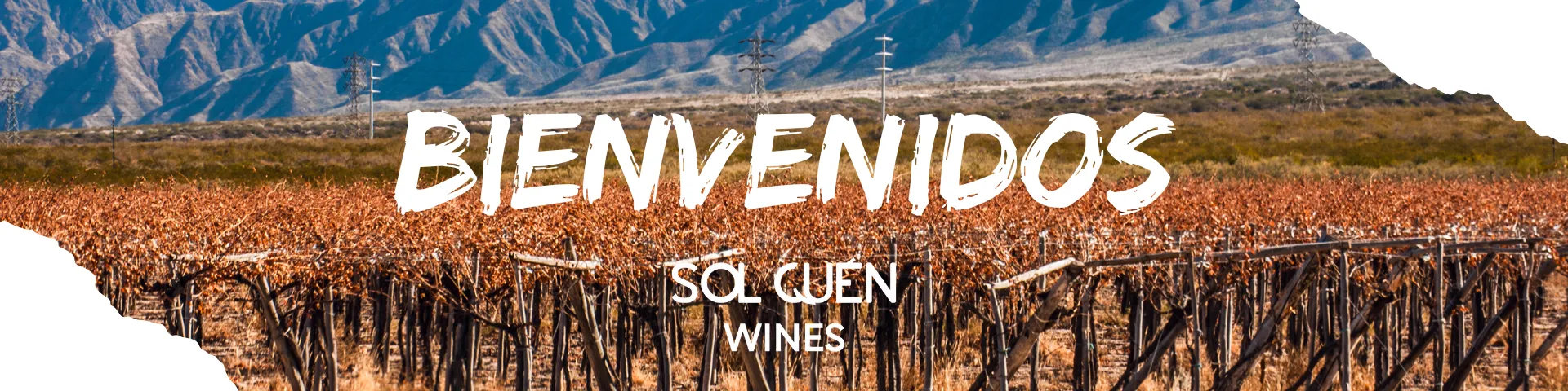Sol Quén Wines