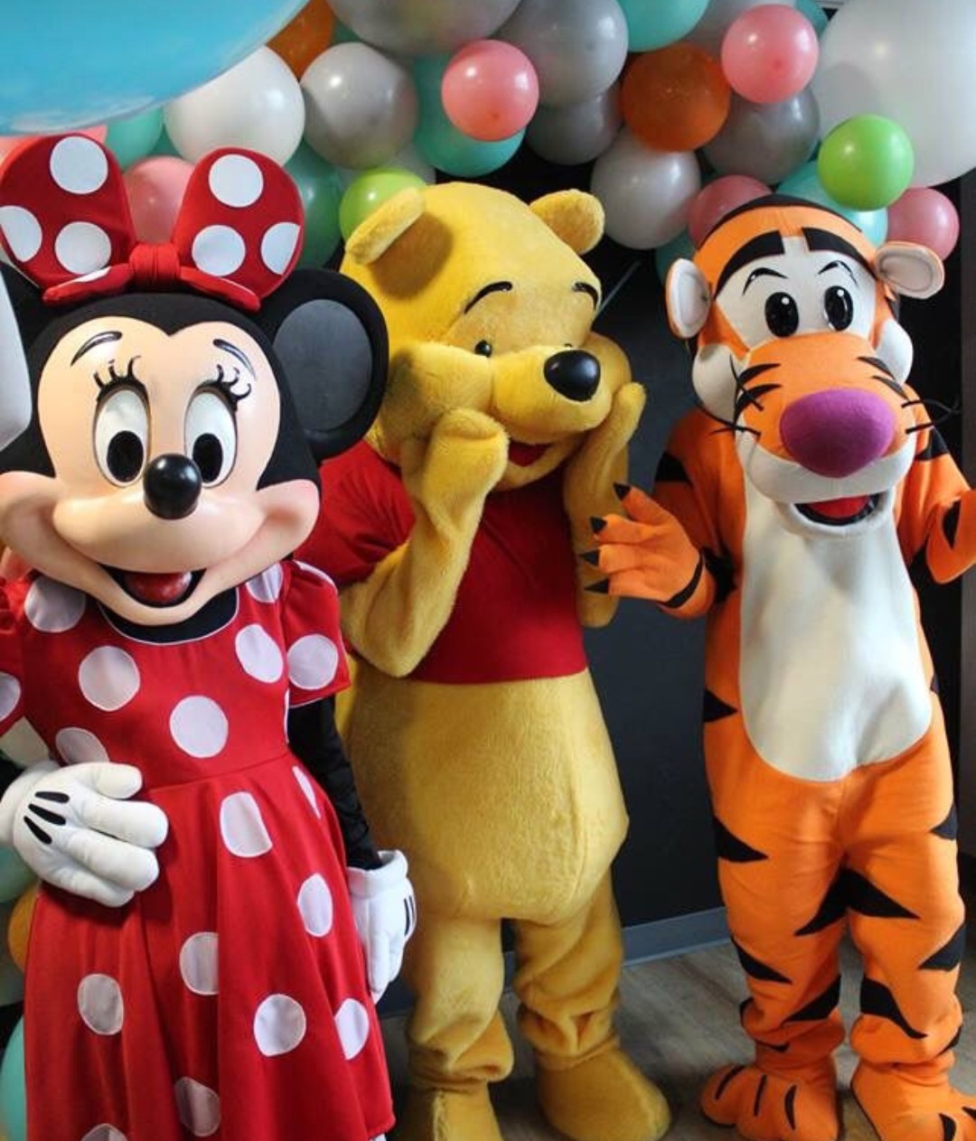 servicio de Kids Party